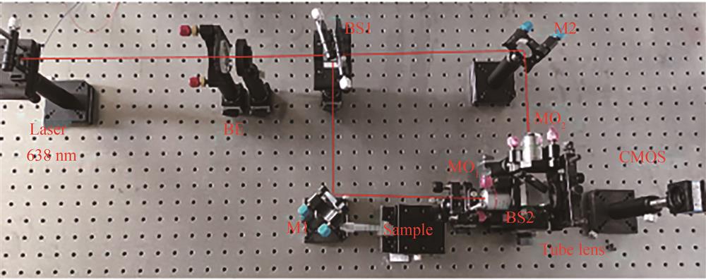 Digital holographic micro measurement device diagram