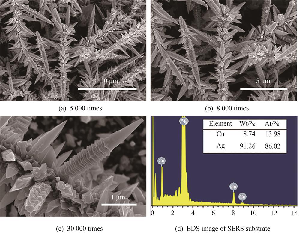 SEM images of Ag SERS substrate with different magnifications and EDS image of SERS substrate