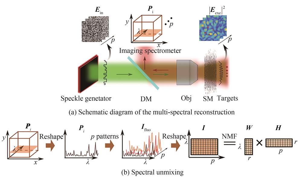 The schematic of non-invasive multi-spectral reconstruction in scattering medium