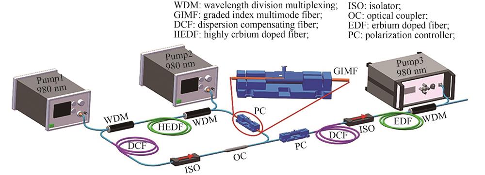 Structural diagram of SMS structure based dispersion-managed all-fiber laser