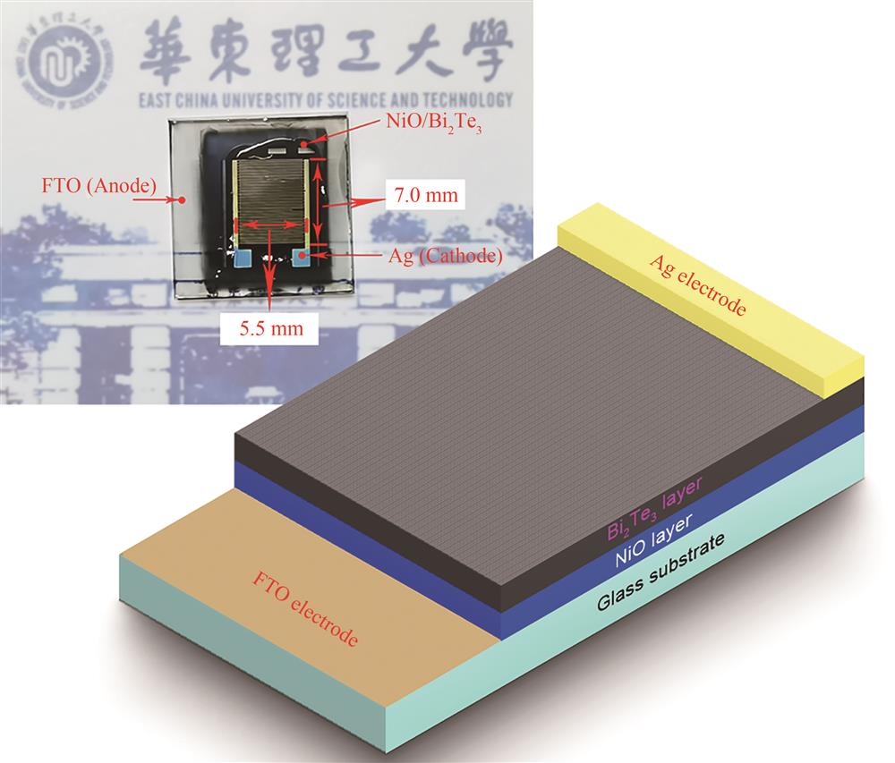 Schematic diagram of the photodetector based on NiO/Bi2Te3 heterostructure（the inset shows the real device）