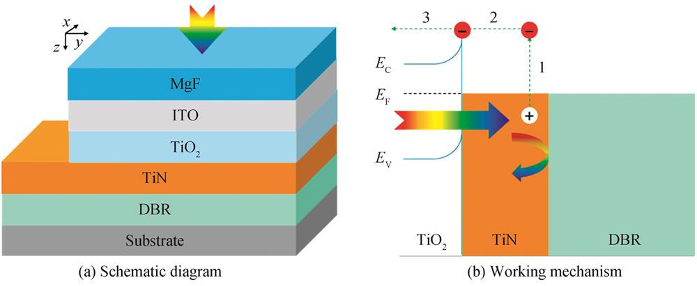 Schematic diagram and working mechanism of the broadband near infrared hot electrons photodetector with multi-layer structure