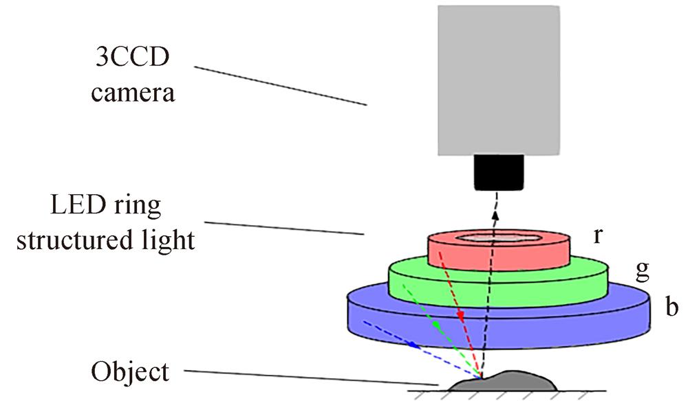 The monocular vision system