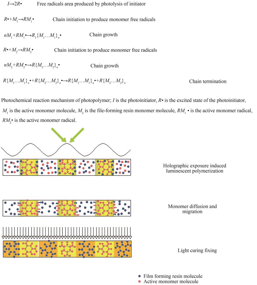 Principle and formation process of bimolecular photopolymer grating