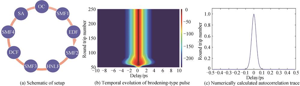 The theoretical simulation characteristics of passive mode-locked fibre laser