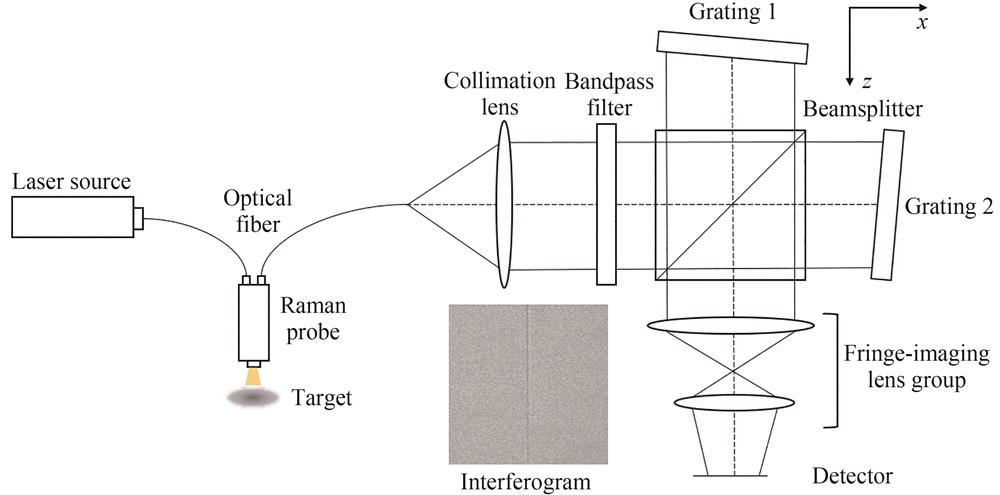 System diagram of spatial heterodyne Raman spectroscopy