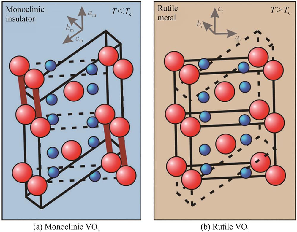 Monoclinic and rutile crystal structures of vanadium dioxide［109］