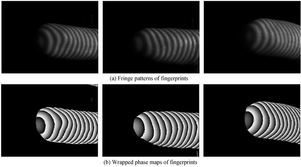 Fringe pattern examples of fingerprints