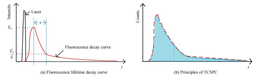TCSPC method for fluorescence lifetime detection