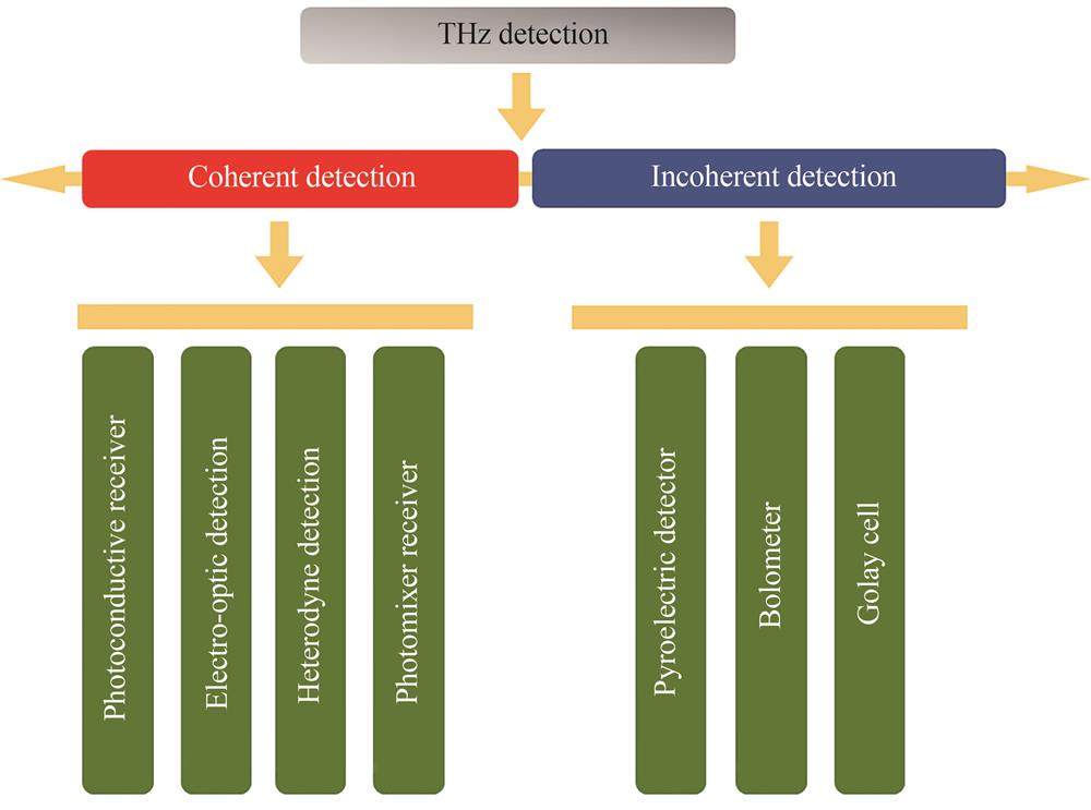 The classification of typical THz detectors