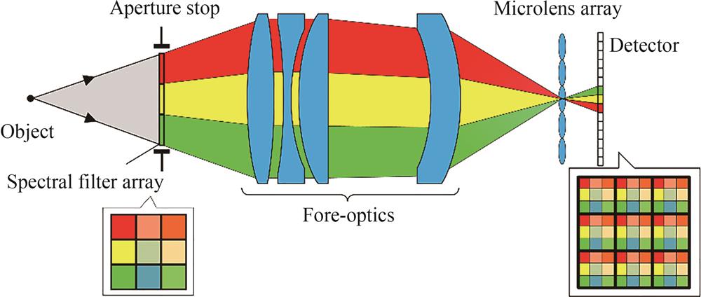 Schematic of light field imaging spectroscopy