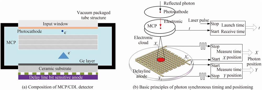 The composition of the crossed delay line position-sensitive anode MCP detector and the basic principle of photon synchronization timing and positioning