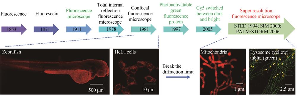 Development of fluorescence imaging technology