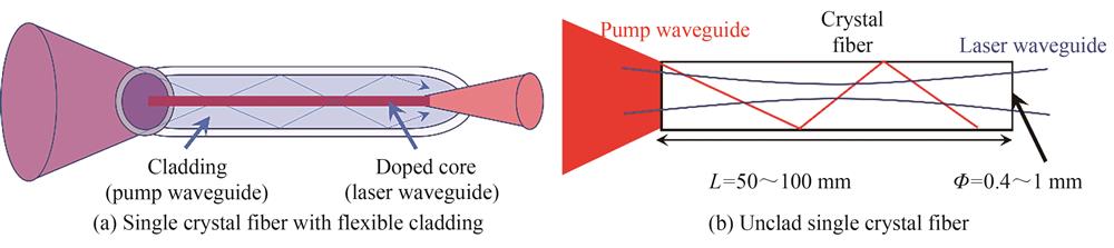 Schematic diagram of laser principle of two kinds of single crystal fiber［11］