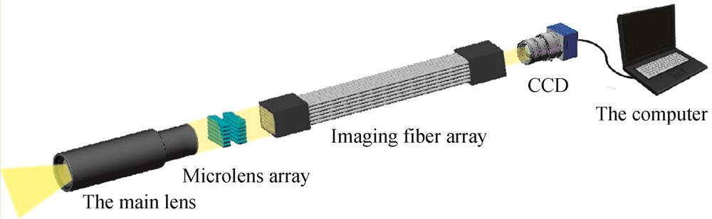 Schematic of imaging fiber array image transmission system