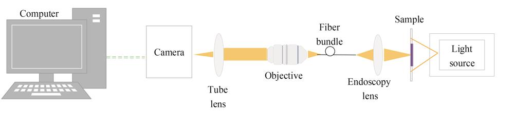 Optical endoscopic imaging system diagram based on fiber bundle