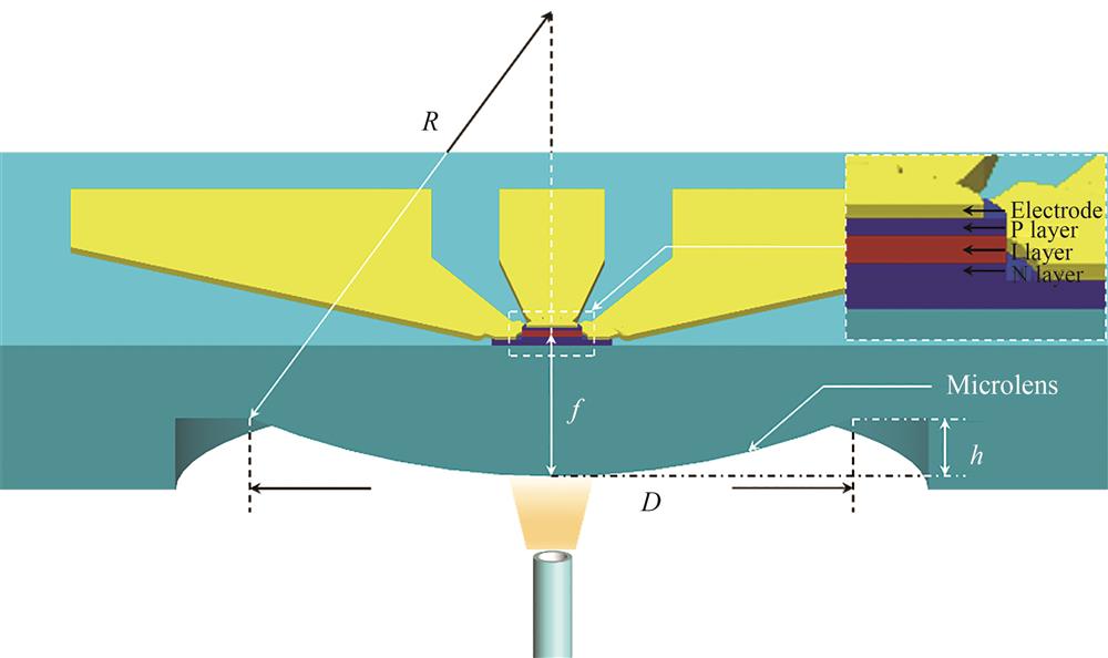 Schematic of an integrated microlens device