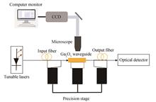 Erbium-doped Ga2O3 Waveguide for Optical Amplification
