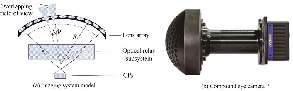 Biomimetic compound eye camera system