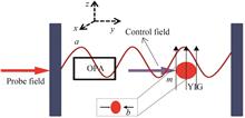 Magnomechanically Induced Transparency and Fast-slow Light Effects in the Hybrid Cavity Magnetic System Assisted by an Optical Parametric Amplifier