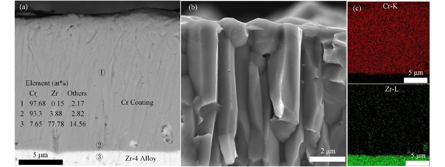 Cross-sectional morphologies of Cr-coated Zr-4 alloy samples and corresponding EDS results