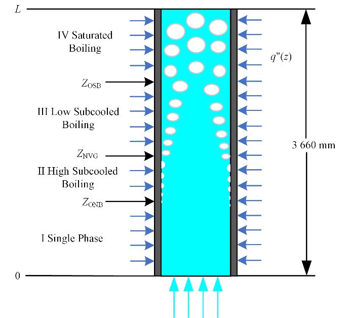 Heat transfer partition diagram of heated channel