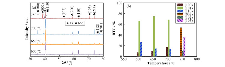 XRD patterns (a) and texture coefficients (b) of Ti films at different substrate temperatures