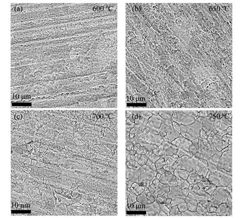 SEM images of Ti films at different substrate temperatures (a) 600 ℃, (b) 650 ℃, (c) 700 ℃, (d) 750 ℃