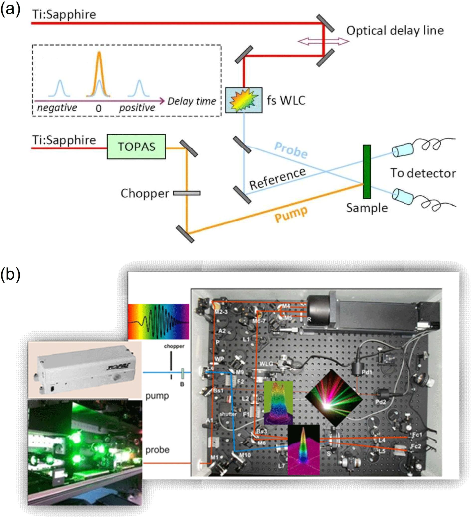 (a) Schematic optical layout of a typical ultrafast TA setup that features a tunable pump (delivered by a femtosecond optical parametric amplifier) and a broadband WLC probe (generated by focusing a small portion of the Ti:sapphire regenerative amplifier output in a transparent nonlinear crystal). (b) The CDP ExciPro femtosecond pump–probe system that operates in our ultrafast spectroscopy laboratory at USTC[15].
