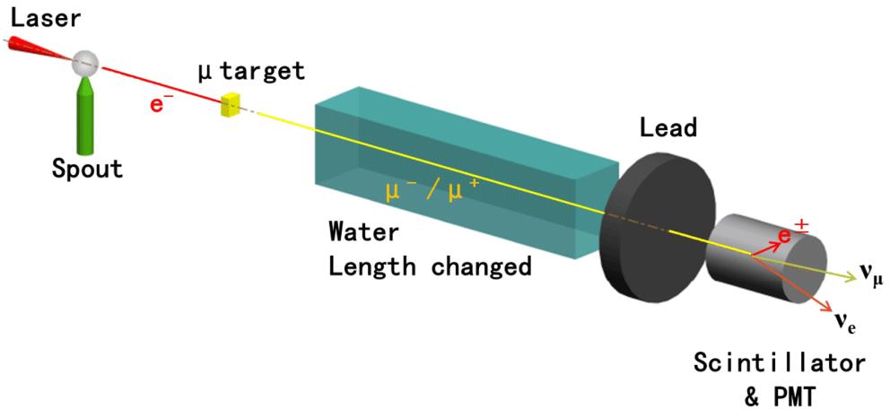 The schematic of dimuon production and diagnostics. Muons were produced through Bethe–Heitler pair production process by photons generated from bremsstrahlung of laser wakefield accelerated electrons in high Z material (muon target). The produced muons flied along the direction of electron beam into the water to loss energy and stop in the scintillator detector. Lead was used to reduce the radiation background.