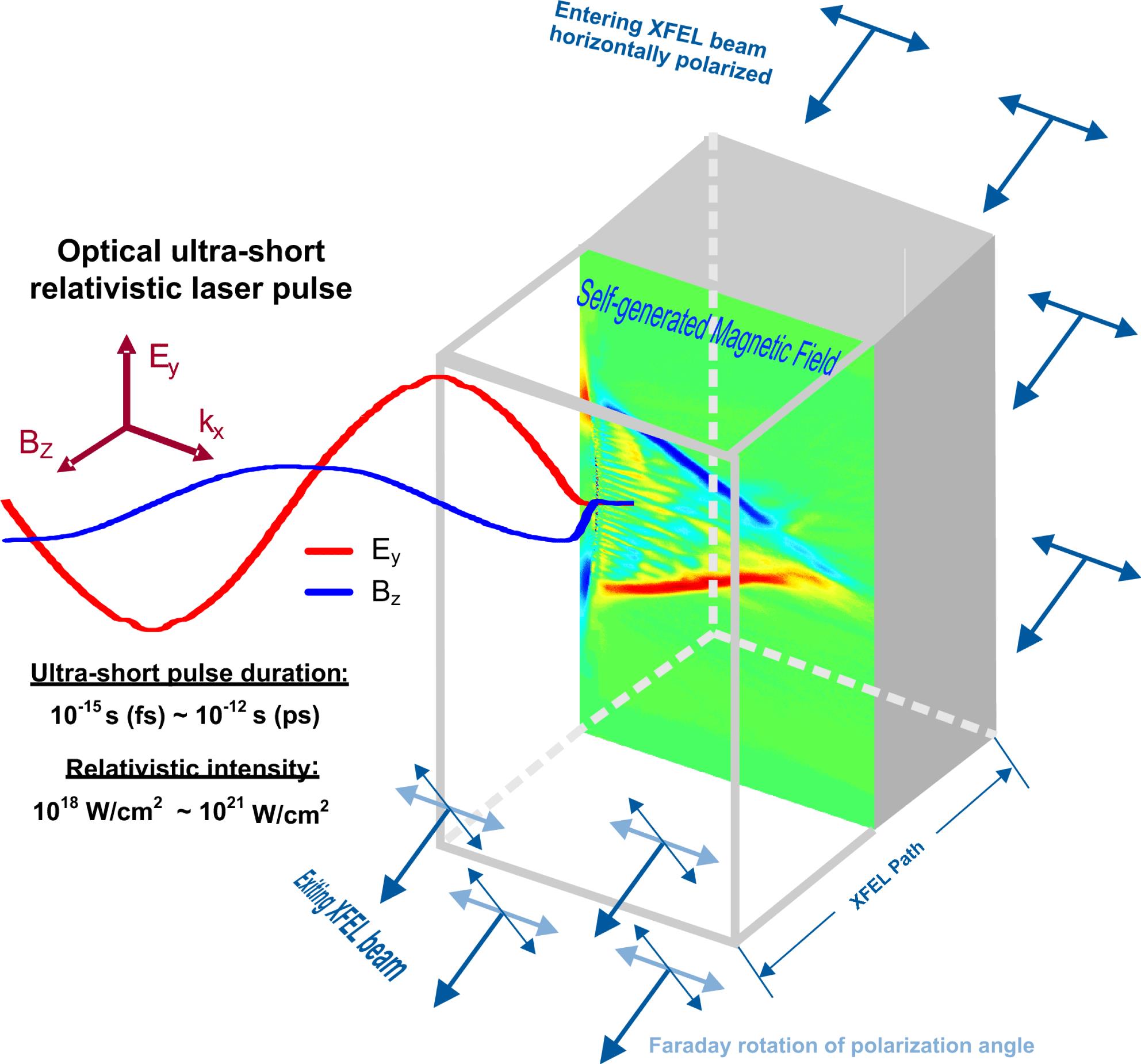 An illustrated experimental setup of strong magnetic field generation by interaction of an ultra-short relativistic optical laser pulse with solid matter, probed by an XFEL via Faraday rotation.