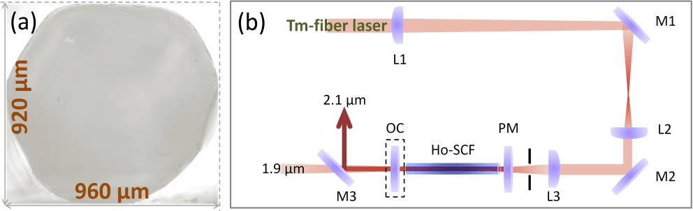 (a) Photograph of the end facet of the Ho:YAG SCF. (b) Schematic of the Ho:YAG SCF laser: L1–L3, lenses with , 100 and 150 mm, respectively; M1, M2, bending mirrors; M3, dichroic mirror; PM, pump mirror; OC, output coupler.