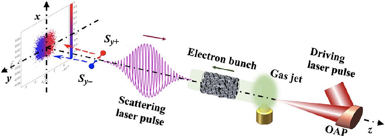 Scenario of the generation of spin-polarized electron beams via nonlinear Compton scattering: a relativistic electron bunch generated by laser-wakefield acceleration collides head-on with an elliptically polarized laser pulse and splits along the propagation direction into two parts with opposite transverse polarization[34]. OAP, optical parametric amplification.