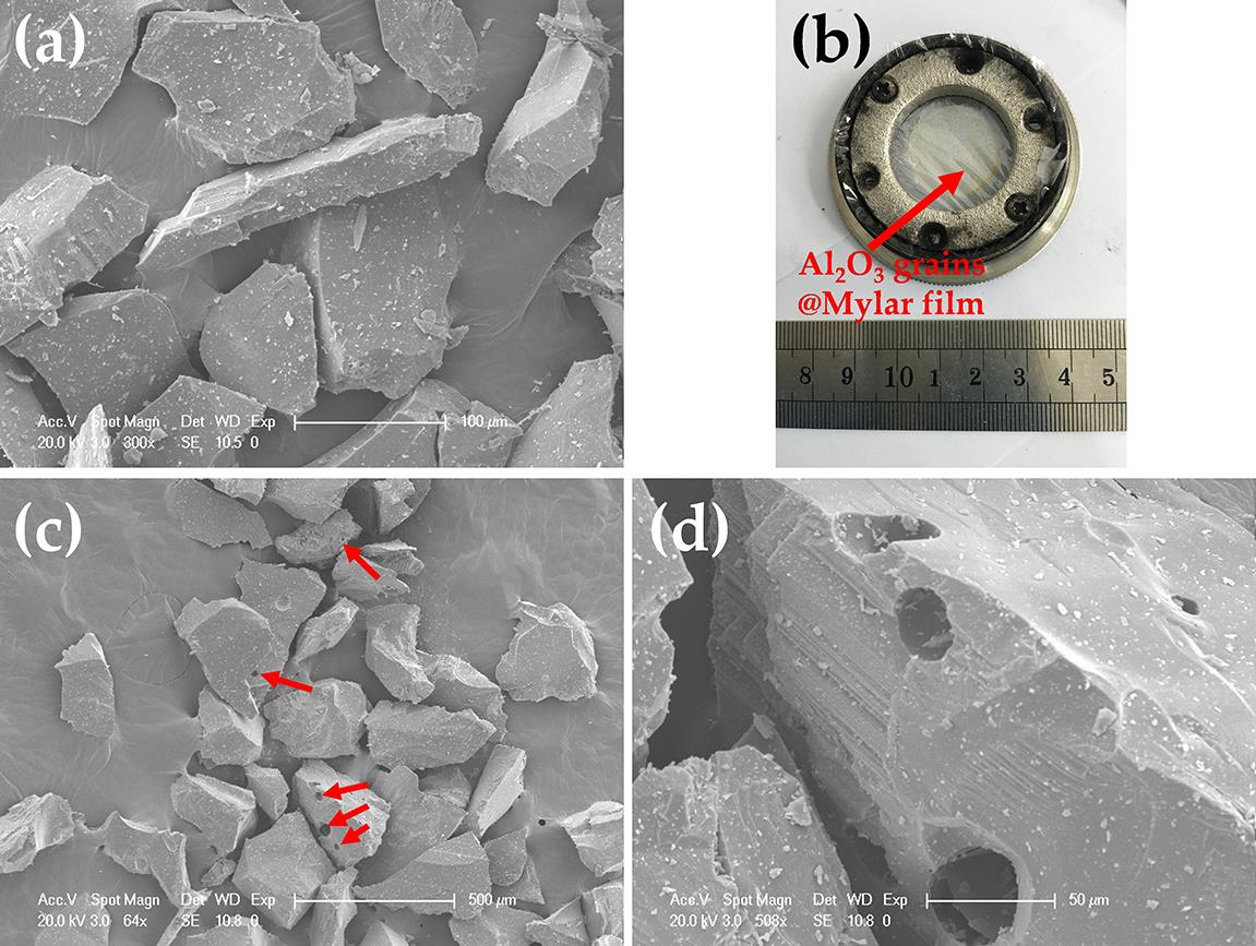 SEM images of irregularly shaped Al2O3 grains of (a) Particles-100 and (c), (d) Particles-200 (with surface holes) used as projectiles in the PG experiment. (b) Al2O3 grains on Mylar film.