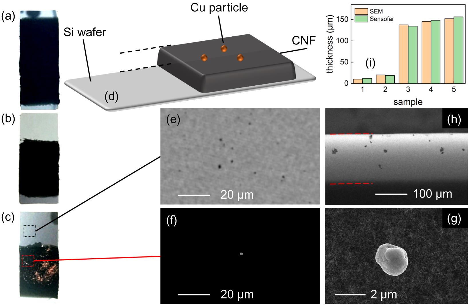 (a) An as-prepared testing CNF target. (b) Part of the testing CNF target having been wiped off. (c) The testing target where the Cu powder has been sprinkled on the upper surface. (d) Schematic diagram of the thickness measurement method of CNFs. Image of the morphology of the surface of (e) the Si wafer and (f) the CNF under confocal microscopy. (g) SEM image of a Cu particle on the surface of CNF. (h) SEM image of the cross section of a CNF with thickness of 152 ; the red dashed lines indicate the boundaries of CNF. (i) Comparison between measurements from SEM (yellow bars) and confocal microscope (green bars).