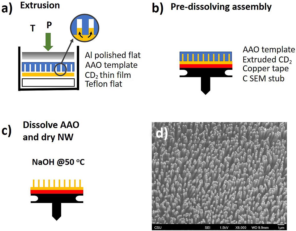 Procedure for the fabrication of CD2 NW arrays. (a) A CD2 thin film is extruded through the pores of an AAO template at a pressure P and selected temperatures between 130°C and 230°C. (b) The sample is mounted on a carbon stub, subsequently the template is dissolved in NaOH at 50°C, and (c) the NWs are dried in an SPD. (d) SEM image of an array of vertically aligned CD2 NWs.