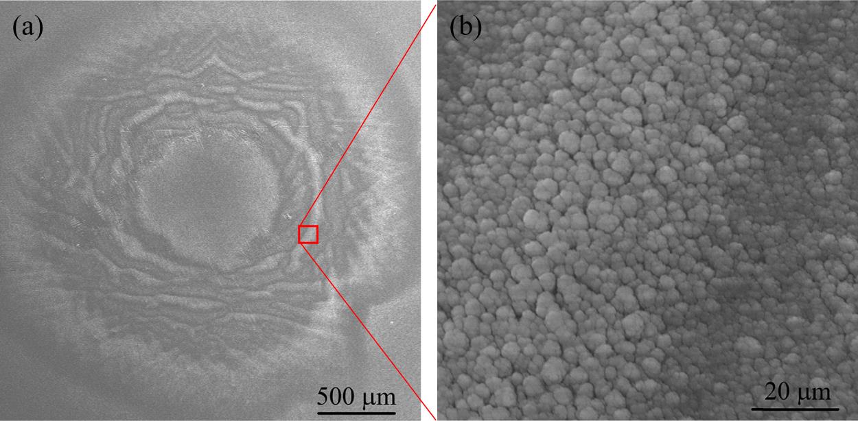 SEM image of ASW layer deposited at 1.2 Torr vapor pressure, on charged sapphire surface: (a) complete area affected by surface charge; (b) high-magnification image of ASW, with the left-hand side of the image showing cauliflower-like shaped grains affected by the surface charge and the right-hand side showing the dense and flat ASW.