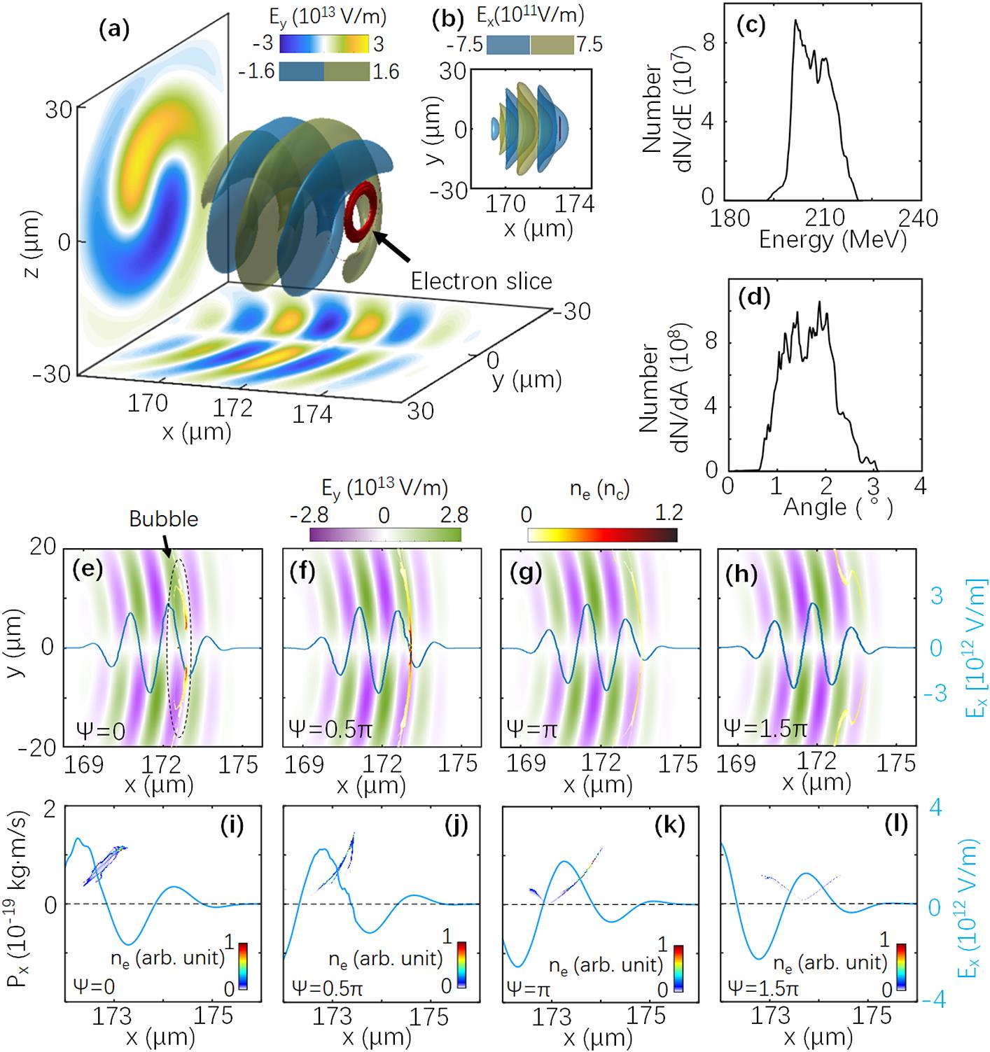 Electron slice and LG laser field in PIC simulation. (a) Sketch of an electron slice driven by an LG laser. The red donut indicates the isosurface of the electron slice with ne = 0.3nc for the carrier-envelope Ψ = 0. The blue and yellow translucence isosurfaces indicate the distributions of the LG laser field Ey. (b) Distributions of the laser electric field Ex and electron slice in the x–y plane. (c), (d) Energetic spectra and angular distribution for the electrons in the regions of 173 μm x r t = 88T. Density distributions of the electron slice for different CEPs (e) Ψ = 0, (f) 0.5π, (g) π and (h) 1.5π at 88T. Corresponding phase-space distributions of the electrons and amplitude of Ex (blue line) on the x-axis at t = 88T are plotted for (i) Ψ = 0, (j) 0.5π, (k) π and (l) 1.5π.