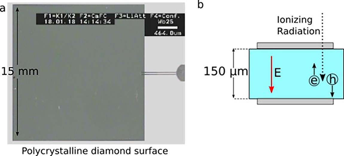 (a) A picture of the diamond surface taken with a Leica Wild M8 microscope equipped with the charge-coupled device camera JVC TK-C1480B. (b) A scheme of the diamond detector structure. The 150 μm polycrystalline diamond wafer is enclosed between two electrodes (made of 4 nm DLC, 4 nm Pt and 200 nm Au) providing a constant electric field allowing for charge collection.