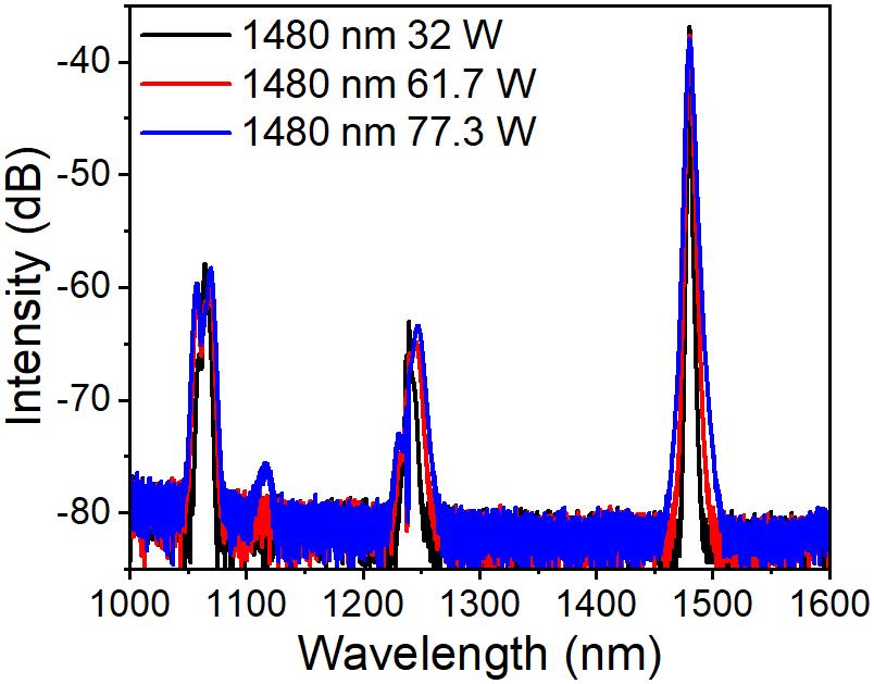 The spectra of the 1480 nm pump laser at different output powers. The 1480 nm light is the main component.