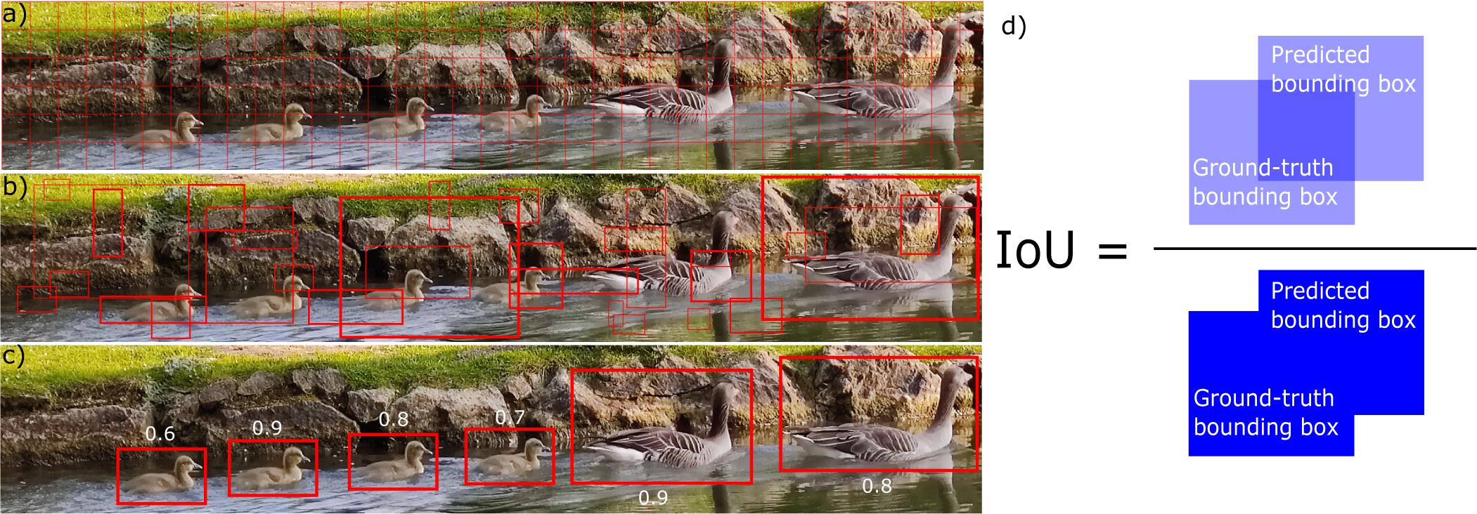Step-wise illustration of the object detection method. The example image presents ducks creating and surfing on wakefields. (a) Split the image into small grid cells; (b) predict bounding boxes and confidences for each class; (c) final detected objects with confidences; (d) bounding box predicted by the object detector versus the ground-truth bounding box labelled manually. IoU is defined as their area of intersection divided by their area of union, where an ideal object detector would have IoU = 1.