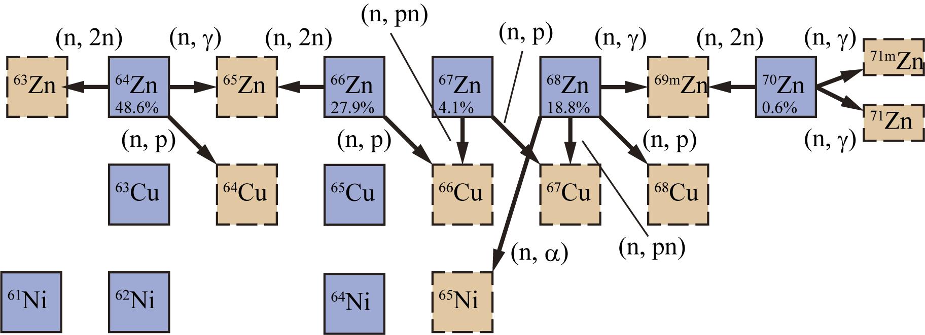 Partial nuclear chart around Zn and nuclear reactions with neutrons on a natural Zn target. Cu, Cu and Cu are produced by (n, p) reactions with high-energy neutrons on Zn, Zn and Zn, respectively. Cu, Cu and Cu are produced by (n, 2n) reactions on Zn, Zn and Zn, respectively. Cu and Cu are generated by (n, pn) reactions from Zn and Zn, respectively. High-energy neutrons could produce Ni by the Zn(n, )Ni reaction. Neutron capture also occurs.
