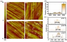 Effect of subsurface impurity defects on laser damage resistance of beam splitter coatings