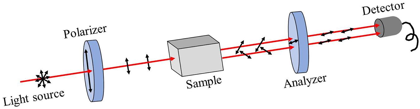 Basic scheme of polarimetry. Essential is the pair of polarizers with different and variable orientations to each other to study the effect of a sample in between on the polarization.