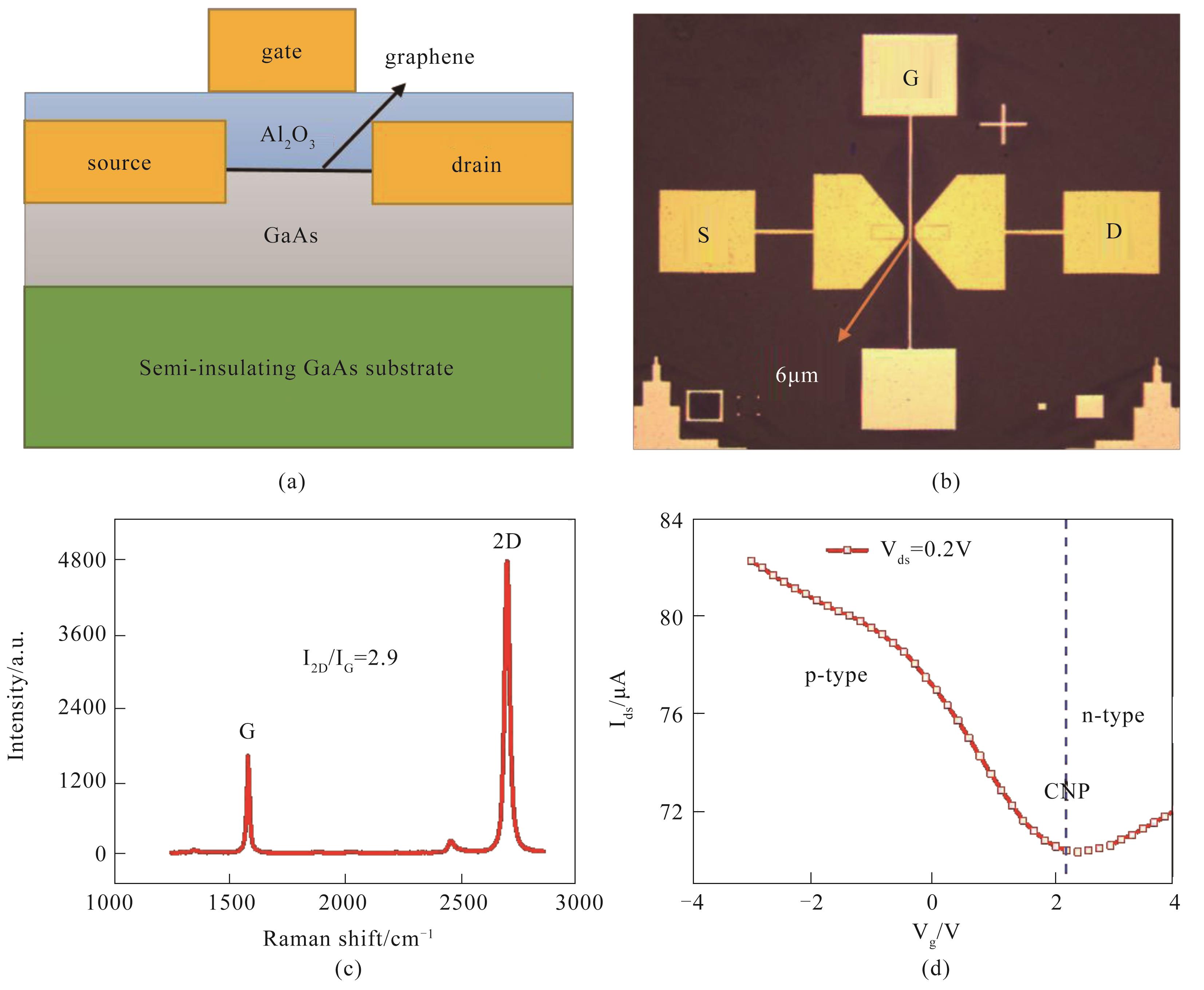 (a) (b) the cross-sectional structural schematic and the corresponding optical top view of the fabricated device (c) Raman spectrum of the monolayer graphene (d) transfer characteristic curve measured with Vds = 0.2V