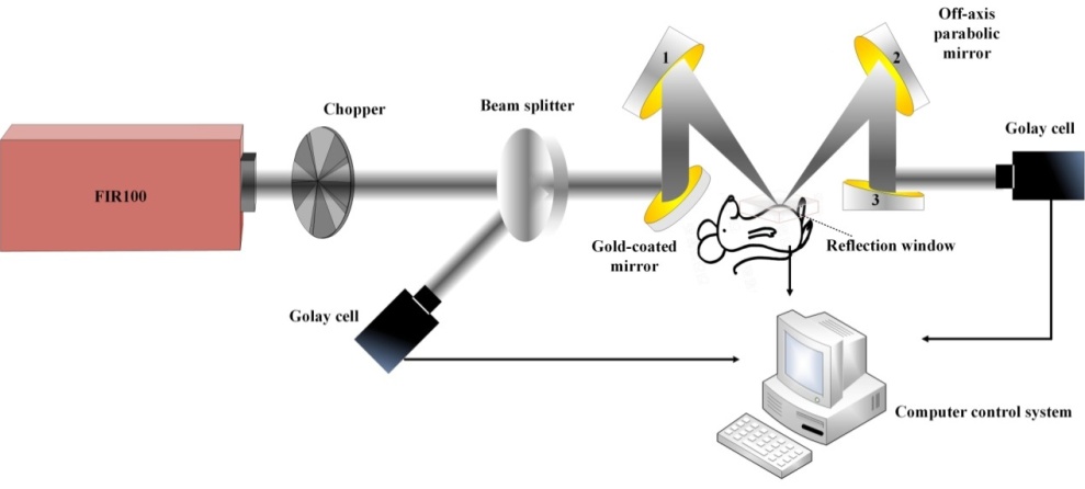Schematic diagram of continuous THz wave reflection imaging system