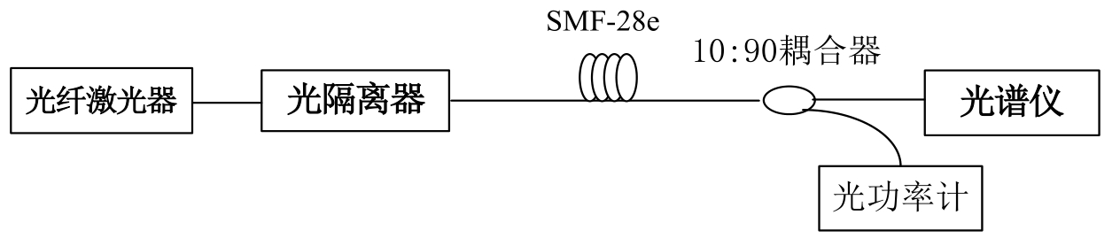 Schematic diagram of stimulated Raman scattering experimental device