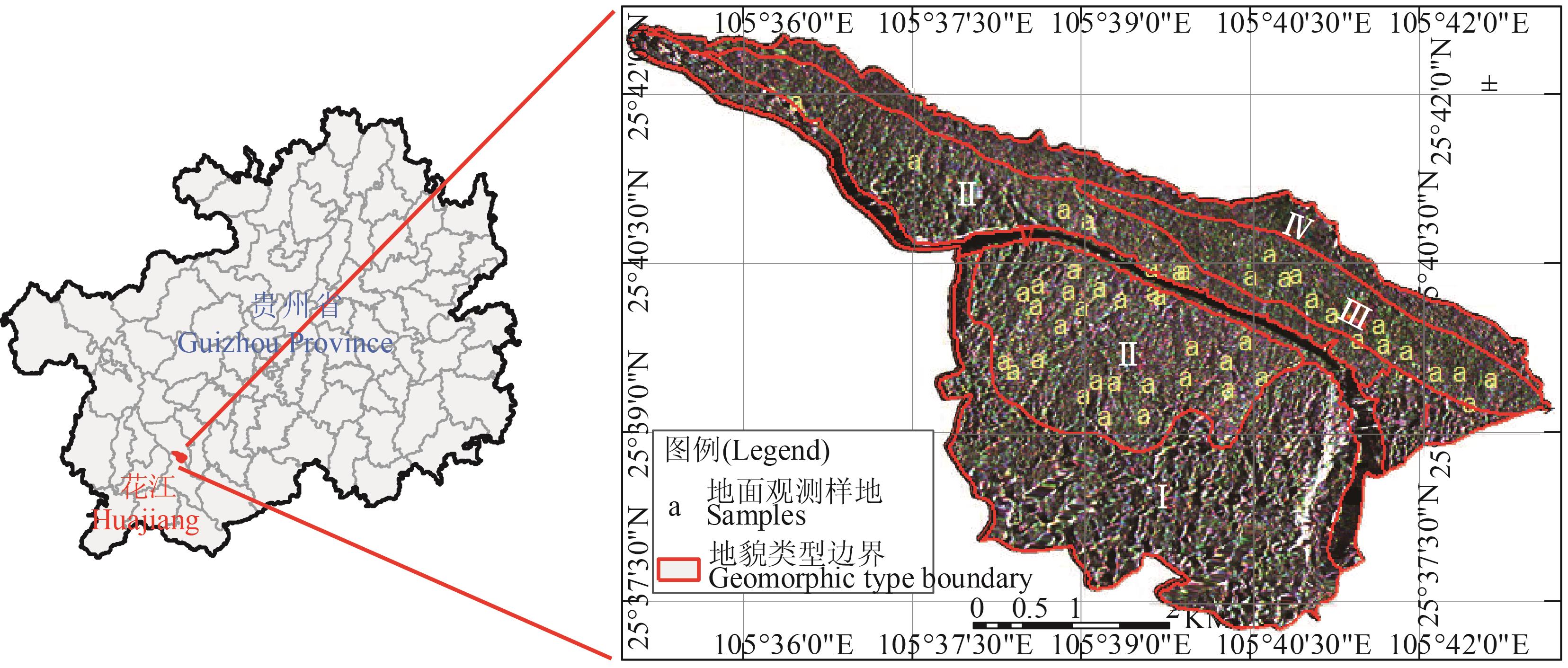 Study area and sampling spots. Note: The left-hand section provides a sketch map of Guizhou province. The right-hand section provides an overview of the SAR data（R: 2018/06/09VV polarization，G:2018/06/21 VV polarization，B：2018/07/03 VV polarization）and geomorphic type （Ⅰ: Peak cluster depression, Ⅱ: Mound-peak platform, Ⅲ: Erosion platform, Ⅳ: Erosion steep slope, Ⅴ: Box canyon）and sample spots of the field survey