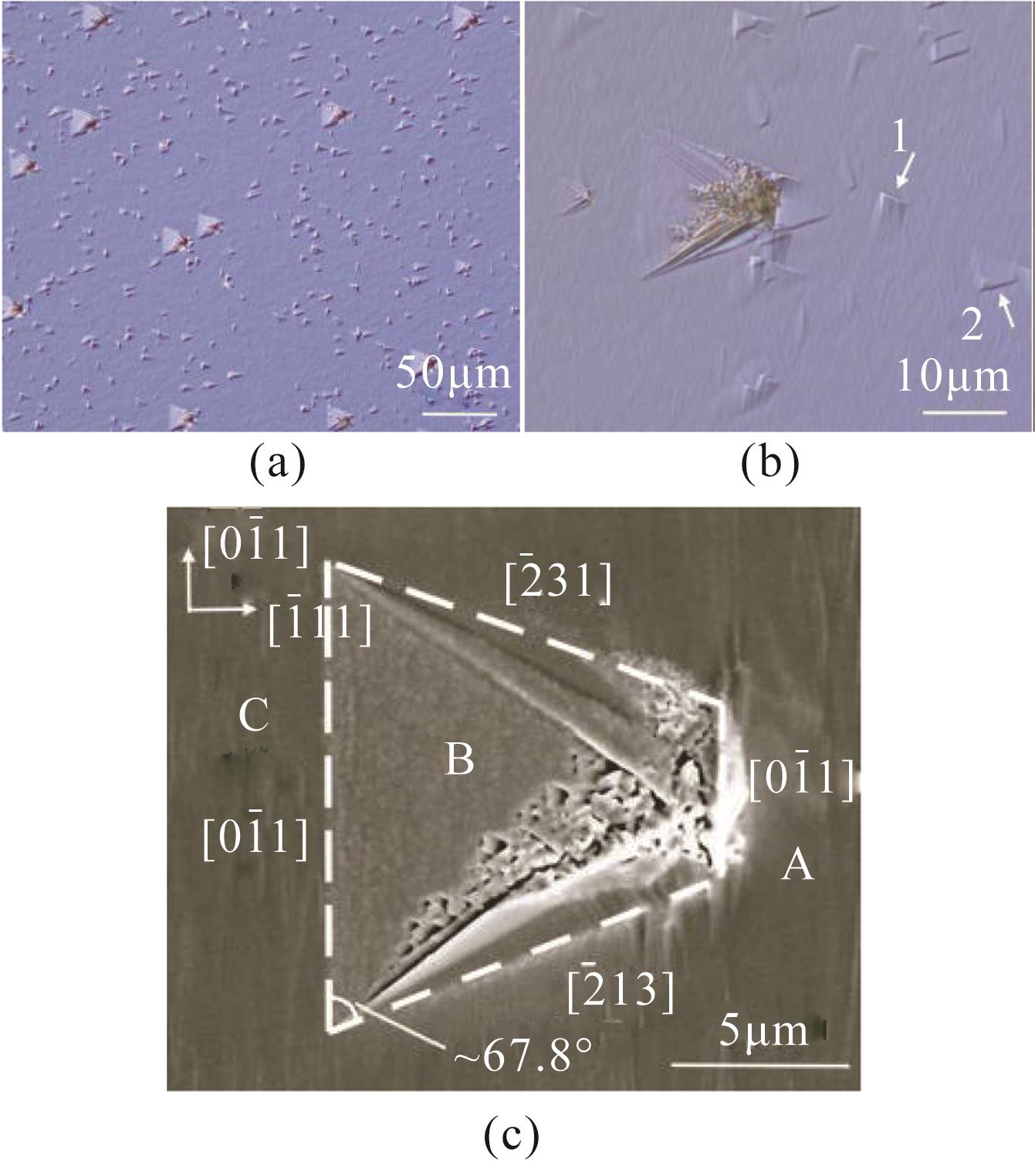Surface topography of the swallow-tailed defect （a） optical microscope images with 200 magnification, （b） optical microscope images with 1000 magnification, （c） SEM image ,Note（s）: The arrays in （b） show different direction of raised side in triangle defect. The four dash lines in （c） are outlines of the defect. Capital A, B, C in （c） represent three EDS test areas.