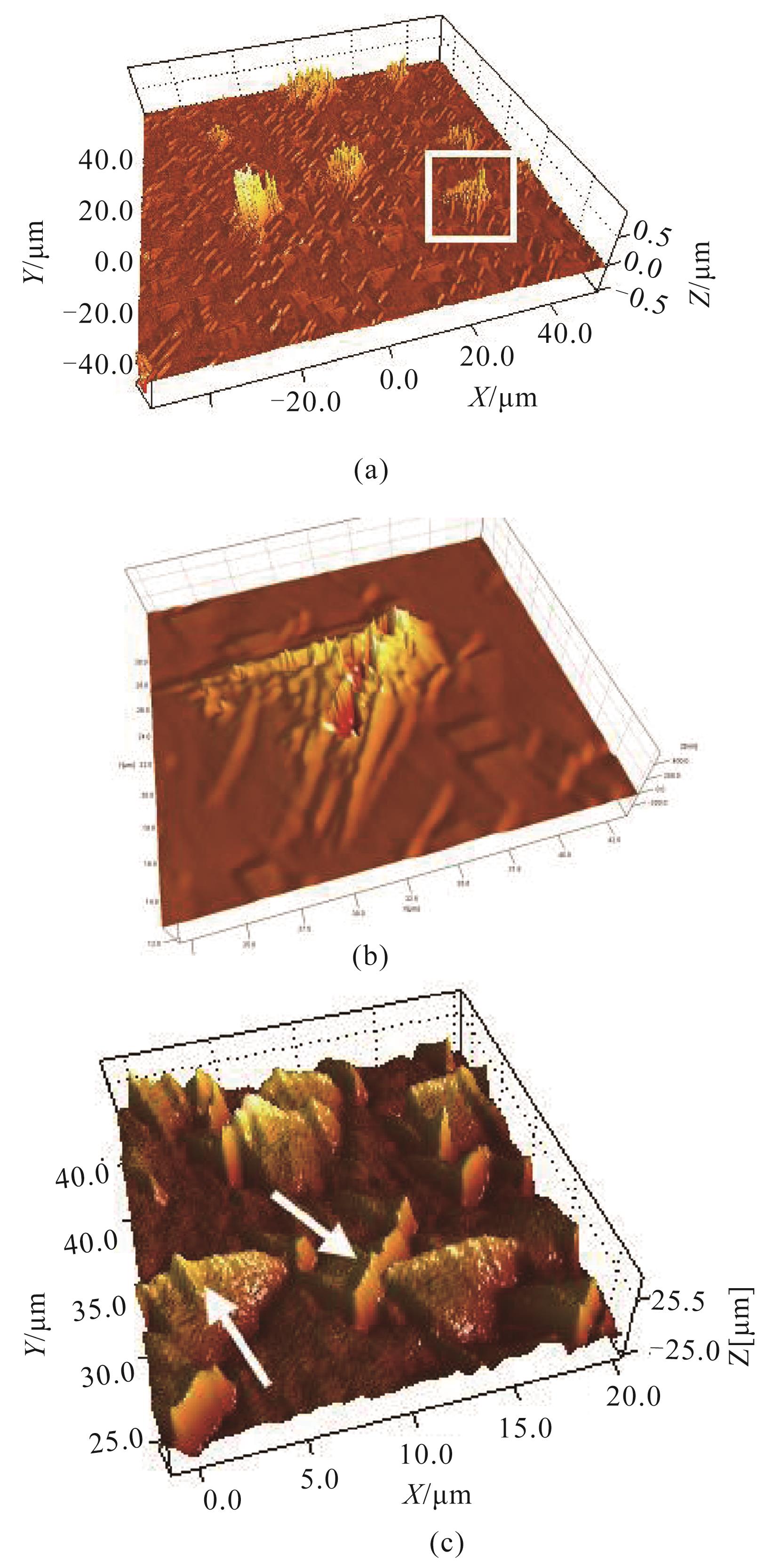 White light interferometry images of HgCdTe surface （a） 100 μm×100 μm area，（b） defect marked in figure （a），（c） triangular defects.